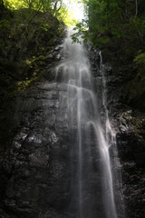 Fototapeta na wymiar Waterfall in the Mt.Kawanori
