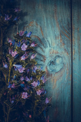 bouquet of blue wildflowers on a dark background