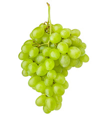 Green grape, isolated on white background, clipping path, full depth of field