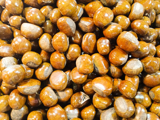 Ripe chestnuts close up. Raw Chestnuts for Christmas. Fresh sweet chestnut. Castanea sativa top view. Food background.