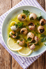 Edible snails, escalgot with butter, herbs and garlic close-up on a table. Vertical top view from above