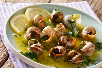 Baked snails, escalgot with butter, herbs, lemon and garlic close-up on a plate. horizontal