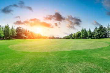 Foto auf Acrylglas Grüne Wiese und Waldlandschaft bei Sonnenaufgang © ABCDstock