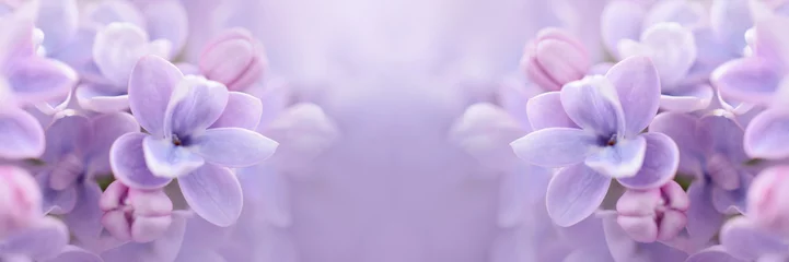Foto op Plexiglas Lilac flowers close up © julia_arda
