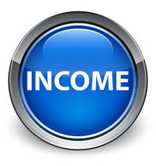 Income optimum blue round button