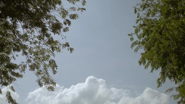 Cloud. White and Green.