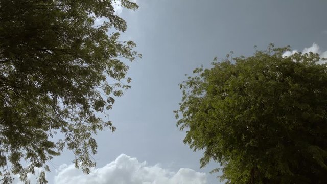 Cloud. White and Green.