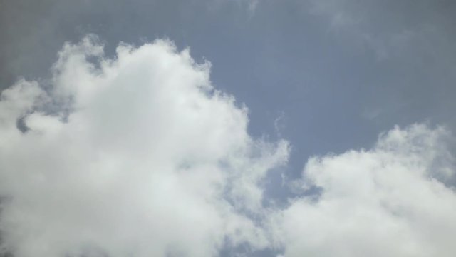 Cloud. White and Green.