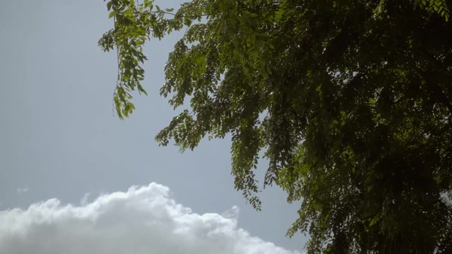 Cloud. White and Green.