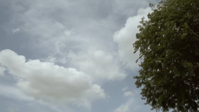Cloud. White and Green.