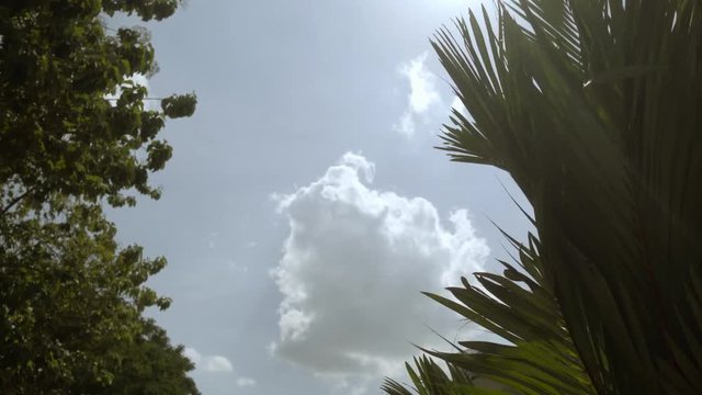 Cloud. White and Green.