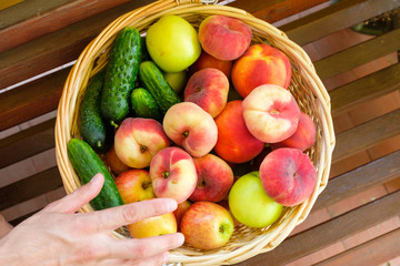 The man stretches his hand for fruit in a basket woven from a vine standing on wooden boards filled with fruits from a fresh harvest. Peaches, apples, cucumbers.