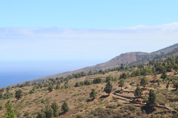 Fototapeta na wymiar Beautiful Landscape at La Palma, Canary Islands
