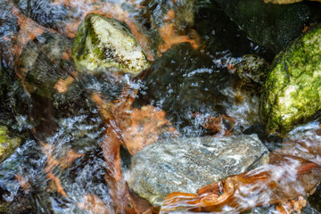 Small mountain creek with leaves and stones