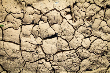 trockene Erde, ausgedorrte Erde 