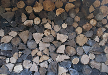 Pile of chopped fire wood prepared for winter