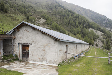 A stable on a mountain full of trees and green grass