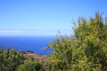 Fototapeta na wymiar Beautiful Landscape at La Palma, Canary Islands
