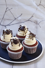 Festive Halloween cupcakes with chocolate spiders in black plate on white wooden planks in moonlight, spider web background