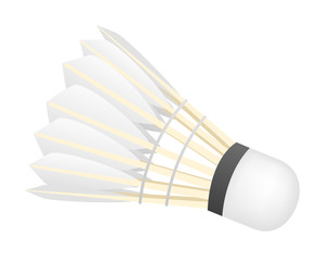Fototapeta na wymiar badminton vector / sport