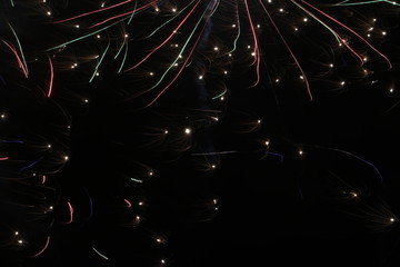 Firework