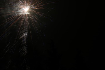 Firework
