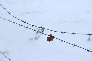 Stuck on wire