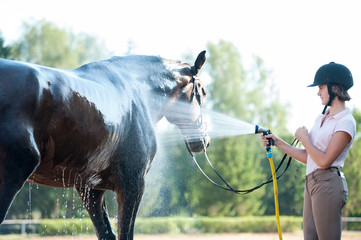 Young teenage girl equestrian washing her brown horse in shower