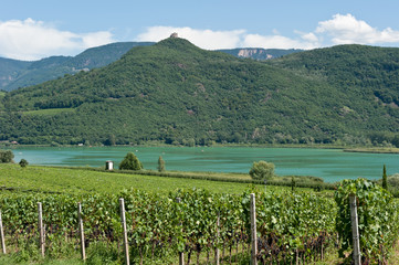 Kalterer See in Südtirol