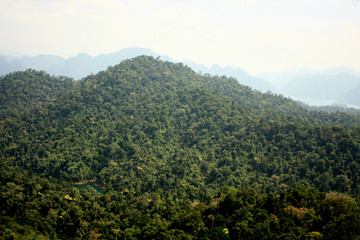 View of the jungle on the mountain forest in Thailand