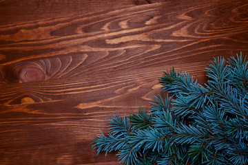 wooden background with fir tree