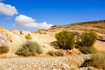 Scenic view of a canyon in Negev Desert . Israel