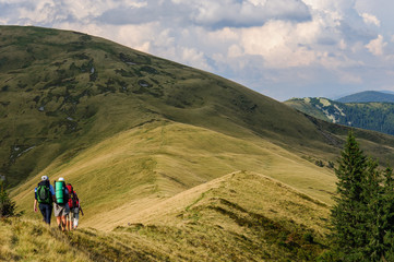 Obraz premium Group of tourists with large backpacks are on mountain