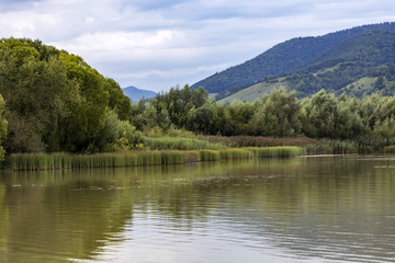 Lake with reed and trees in Romania mountains