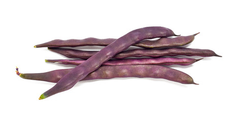 Green beans purple on white background