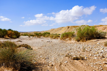 Scenic view of a canyon in Negev Desert . Israel