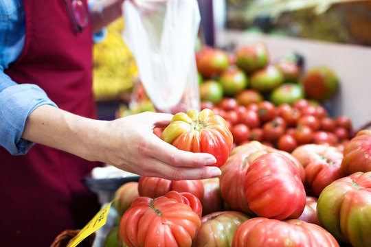 Saleswoman selecting fresh tomatoes and preparing for working day in health grocery shop.