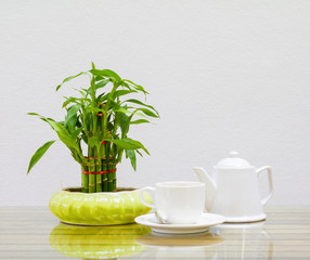 coffee cup and teapot white. Bamboo tree in pot On the glass table wooden and a cement wall background. copy space