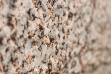 A stony spotted background. Macro. Blurred background bokeh in the form of a rocky wall. Stone wall of spotted style.