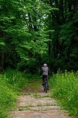 Fototapeta premium nature, Botanical garden, man from behind, cyclist
