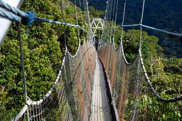 Canopy Walk