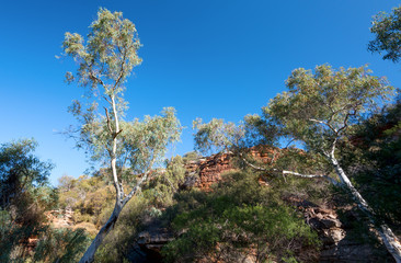 Fototapeta na wymiar Looking down in the gorges of kalbarri National Park, WA, Western Australia ,Oceania