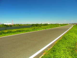 Fototapeta premium 夏の江戸川土手のサイクリング道路