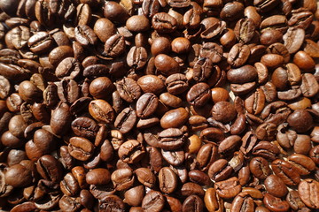 Kaffeebohnen