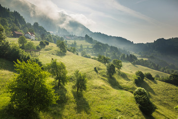 Meadow in Alps mountains near Drazgose, Carniola, Slovenia