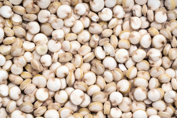 Close up of quinoa seeds covering the full frame