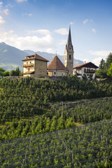 Fototapeta na wymiar Blick auf St. Georg in Schenna, Südtirol