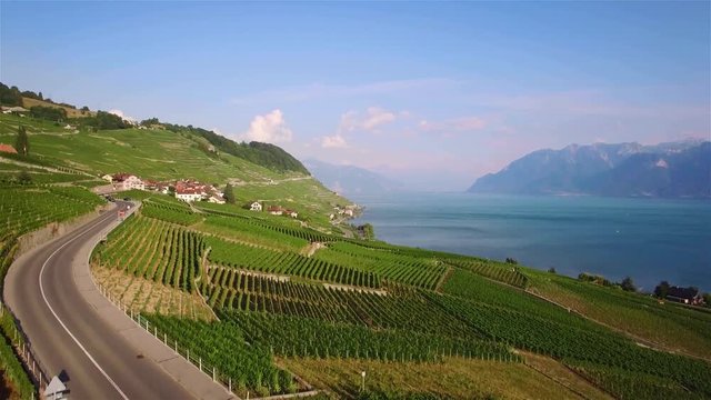 4K Aerial footage of Vineyard fields in Terrasses de Lavaux near Lausanne, Switzerland - UHD