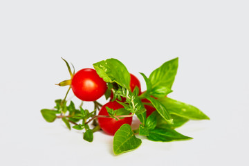 Small cherry tomatoes on a green branch, with green fresh basil and thyme on a white background.