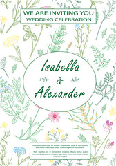 Wedding invitation frames with herbs and wild flowers.